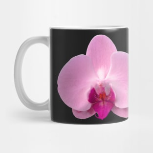 Orchid, Dorne Phalaenopsis in Light Pink Mug